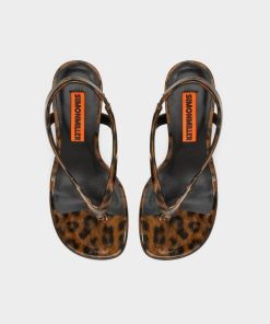 Shopmaestro.shopbfdaa6b3e1 2